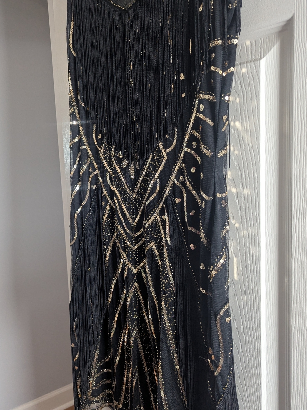 Flapper Dress! - Picture 2 of 8